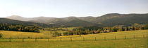 Bavarian forest landscape by Intensivelight Panorama-Edition