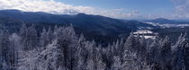 Bavarian forest landscape in winter von Intensivelight Panorama-Edition