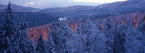 Snowy forests at sunset von Intensivelight Panorama-Edition