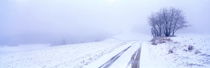 Winter road von Intensivelight Panorama-Edition