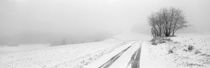Winter road - monochrome von Intensivelight Panorama-Edition