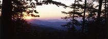Bavarian forest sunset by Intensivelight Panorama-Edition