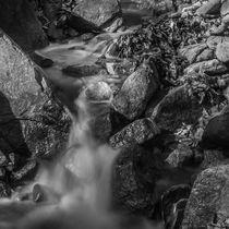 Flowing Stream by Jim DeLillo