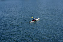 Lone Kayaker Vancouver by John Mitchell