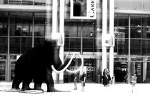 Back to Mammut by Bastian  Kienitz
