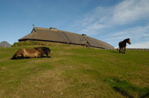 Viking longhouse with horses by Intensivelight Panorama-Edition
