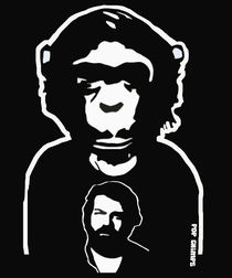Bud Spencer by POP CHIMPS by Marisa Rosato