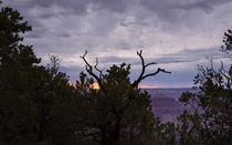 Orchestrating A Sunset At The Grand Canyon von John Bailey