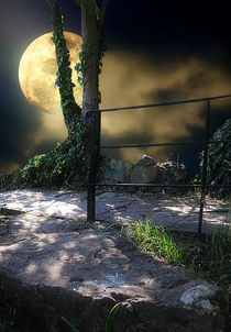 Walking in Moonlight by CHRISTINE LAKE