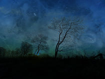 blue night by urs-foto-art