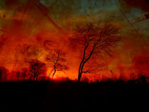 'red night' by urs-foto-art