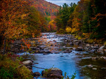 A River Run Through It by Jim DeLillo