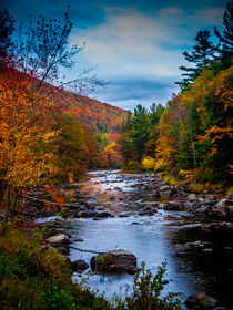 Autumn River Vertical Format von Jim DeLillo