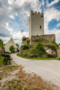 Burg Sterrenberg-Innenhof 5 by Erhard Hess