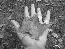 Last Leaf of Autumn by Katherine Manning