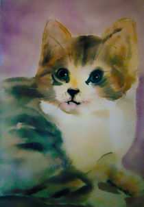 Katze    cat von Maria-Anna  Ziehr
