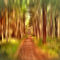 A-path-through-the-forest-2