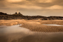 Mumbles lighthouse by Leighton Collins