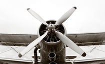 Old plane propeller von Mike Santis