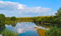 Summer landscape with river and forest  von larisa-koshkina