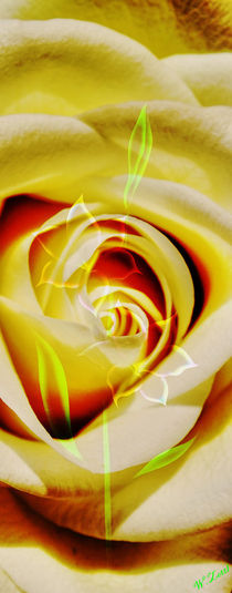 Art Deko 8 Rose-Glockenlilie von Walter Zettl