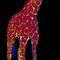 Giraffe-pop-art