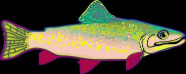 Rainbow-trout-neon