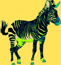 Zebra Pop Art von Florian Rodarte