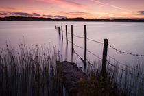 Kenfig Pool posts by Leighton Collins