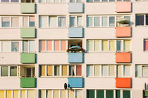 Apartment Life by Patrycja Polechonska