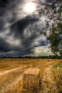 Storm on the Farm by David Pyatt