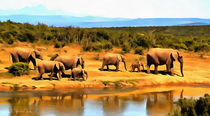 Elefantenherde - herd of elephants - by Wolfgang Pfensig
