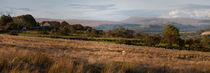 Welsh Brecon hills  von Leighton Collins