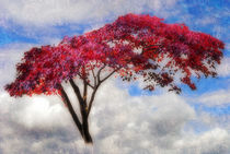 Red Tree in Summer by CHRISTINE LAKE