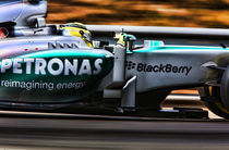 Formula 1 Nico Rosberg by Srdjan Petrovic
