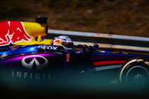 Formula 1 Sebastian Vettel von Srdjan Petrovic