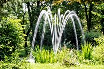 Springbrunnen im Park von Helmut Schneller