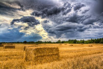 Late Summer on the farm by David Pyatt