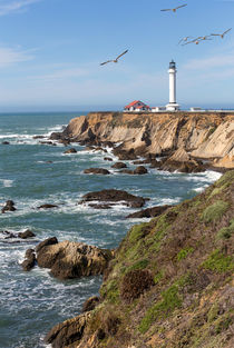Point Arena Lighthouse #2 by timbo210