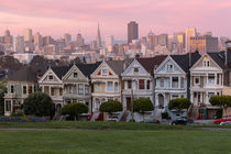 Painted Ladies by timbo210