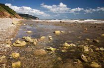  Between Weston Mouth and Branscombe by Pete Hemington