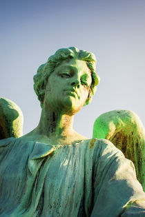 Memphis Elmwood Cemetery - Patinated Angel by Jon Woodhams