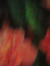 Lichtwelten rot grün von artofirenes