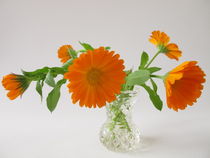 Ringelblumen in der Vase by Heike Rau
