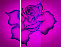 Blütenträume 26 Rose by Walter Zettl