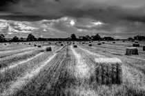 The Late Summer Farm England von David Pyatt