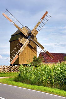 Windmühle, Mühle, Deutschland, Windmill, mill, Germany by Falko Follert