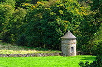 Dovecote At Swainsley, near Warslow von Rod Johnson