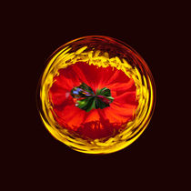  Flower globe in red and yellow by Robert Gipson