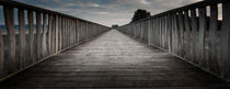 Wooden walkway  by Leighton Collins